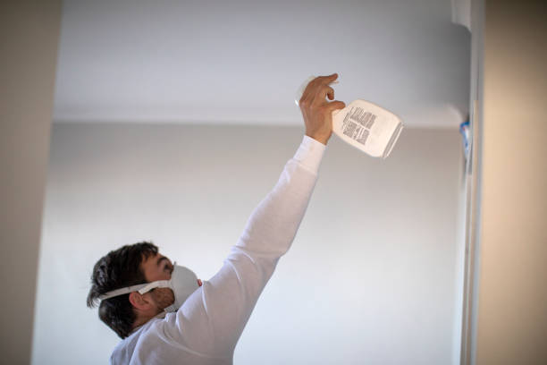 Best Fast Mold Removal  in Pumpkin Center, NC
